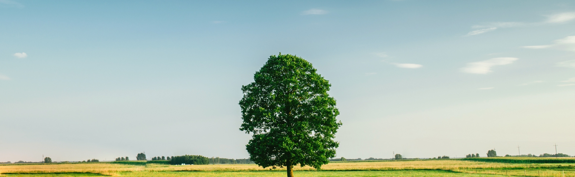 Loi Climat et Résilience du 24 août 2021, journal officiel