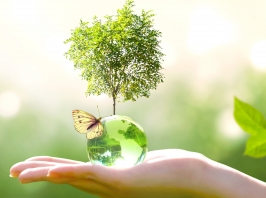 Offre à 1 euro de travaux d’économie d’énergie (CEE)